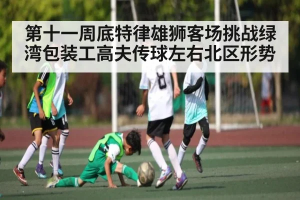 第十一周底特律雄狮客场挑战绿湾包装工高夫传球左右北区形势